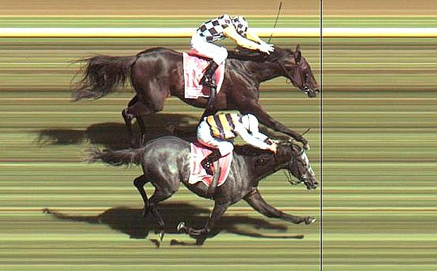 Melbourne Cup: il naso di Viewed primo al traguardo